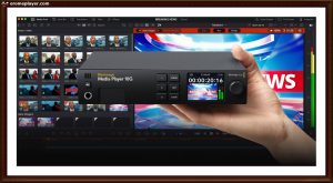 japan free porn sites