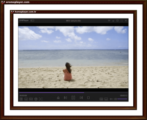 vangelis conquest of paradise film